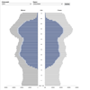 Alterspyramide Erwerbspersonen (SV-Beschäftigung) - Link