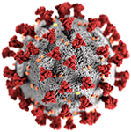 Schmuckgrafik Link Corona